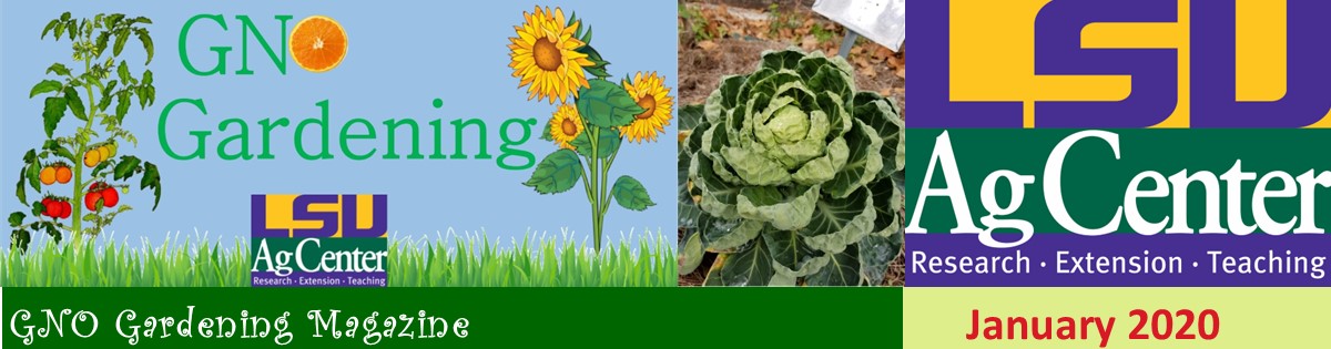 GNO Gardening - January 2020